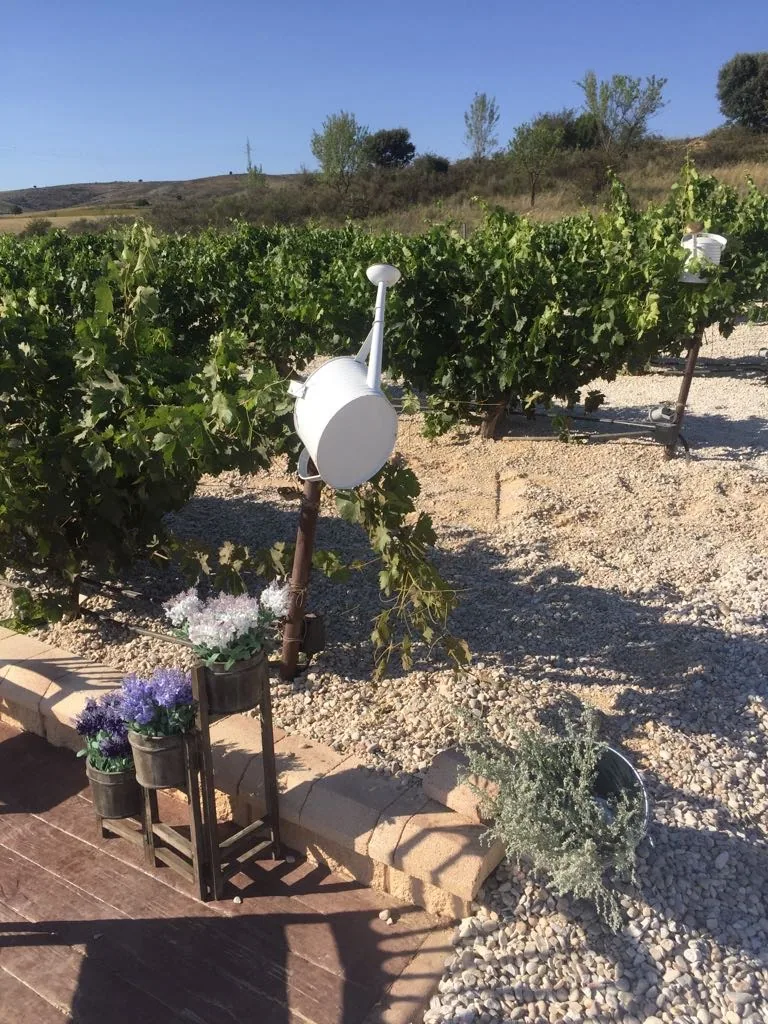 Decoración floral entre las cepas del viñedo de Los Arenales